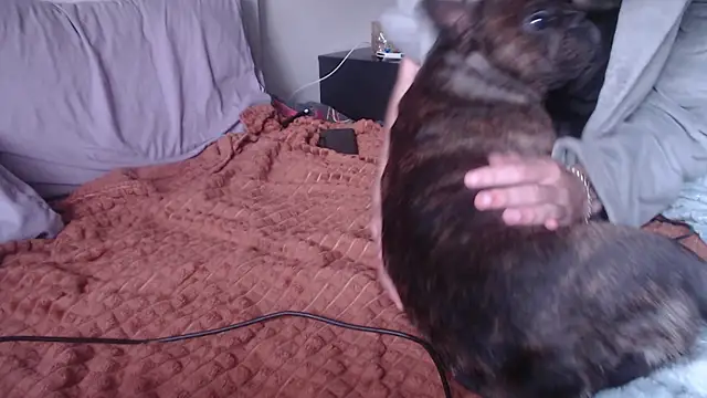 Samuel_Skywalker webcam