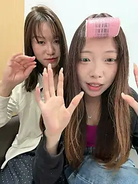 YY-1-1-1 webcam