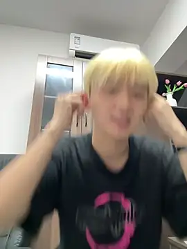 Cnmp6666 webcam