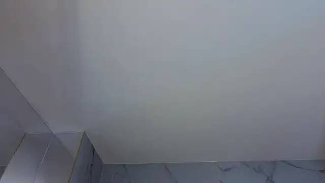 artemisa_ch1 webcam