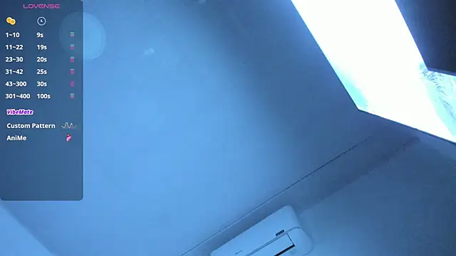 fuckyou_alexa webcam