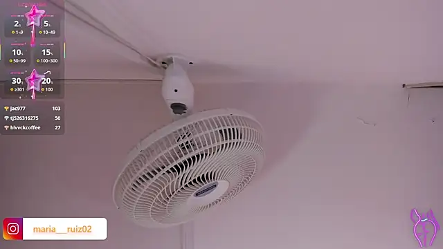 PAULETEJOHNSON webcam