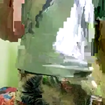 Jaat_ka_diwan webcam