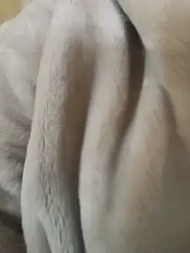 DarkQueen_94 webcam