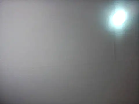 bogbosdick webcam