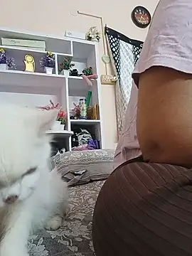 Hansikatelugu webcam