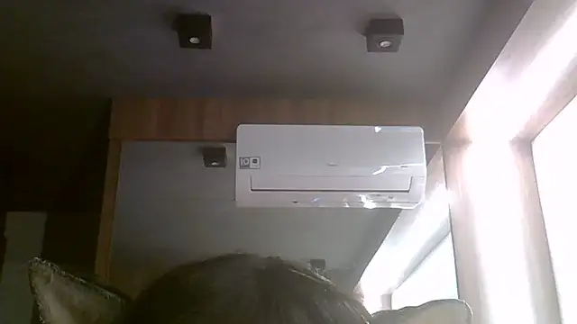 SkinnyKitten webcam