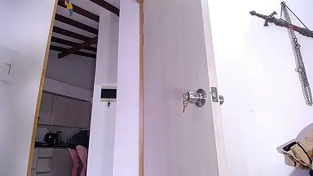 damn_fox webcam