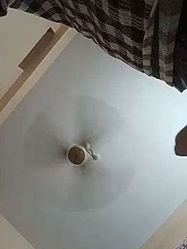 Hansikatelugu webcam