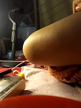 -Tara-a webcam