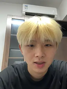 Cnmp6666 webcam