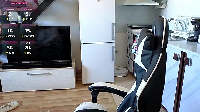 RyanStorm_ webcam