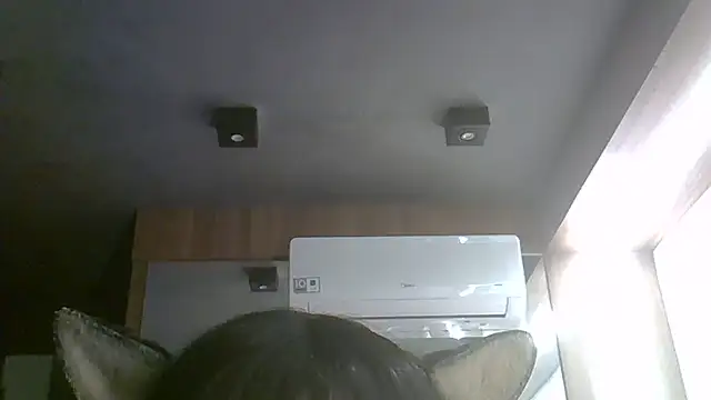 SkinnyKitten webcam