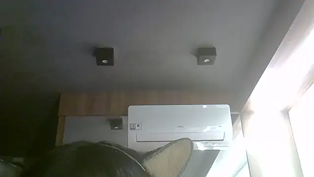 SkinnyKitten webcam