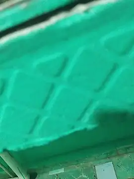 Oscarinylupis2328 webcam