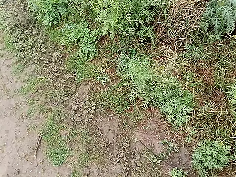 hotpussyxxx777 webcam