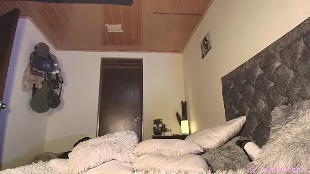 Hairyparadise webcam
