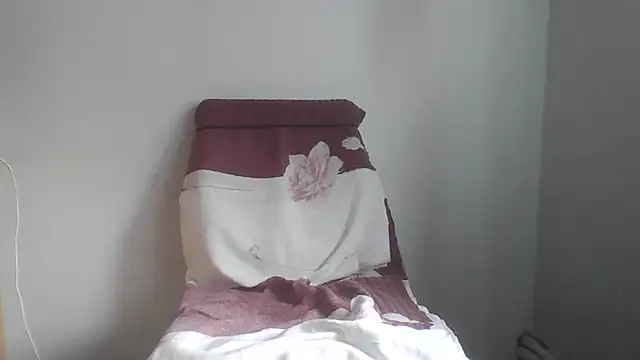 fl3xxx1 webcam