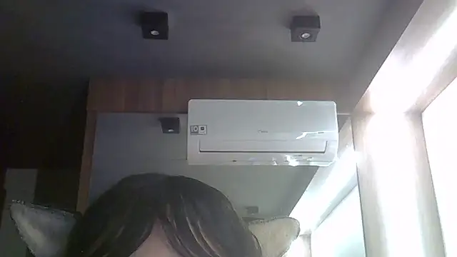 SkinnyKitten webcam