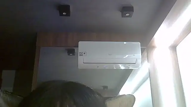 SkinnyKitten webcam
