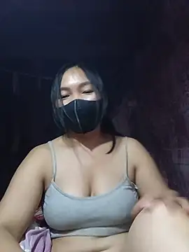 Hiha-nn webcam