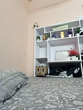Hansikatelugu webcam