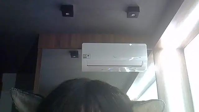 SkinnyKitten webcam