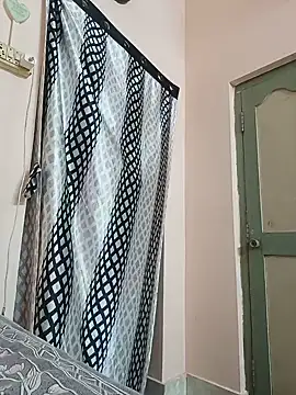 Hansikatelugu webcam
