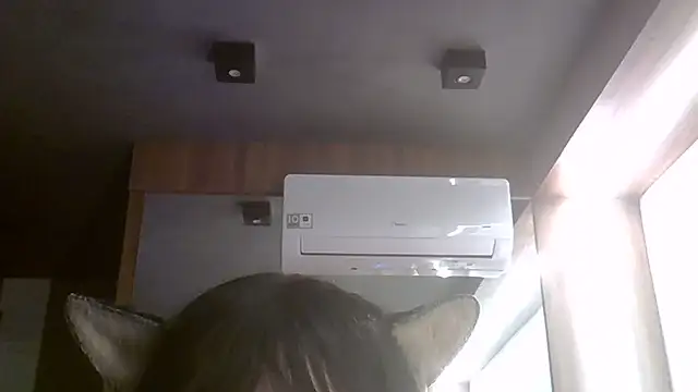 SkinnyKitten webcam