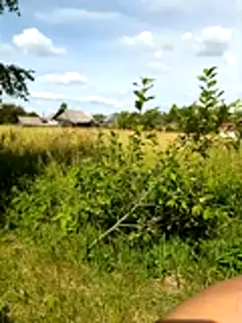 _uncle_Mitya-43_ webcam