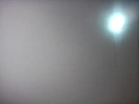 bogbosdick webcam