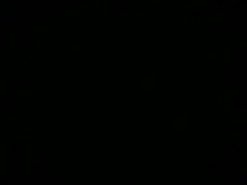 Bunnyesweet1995 webcam