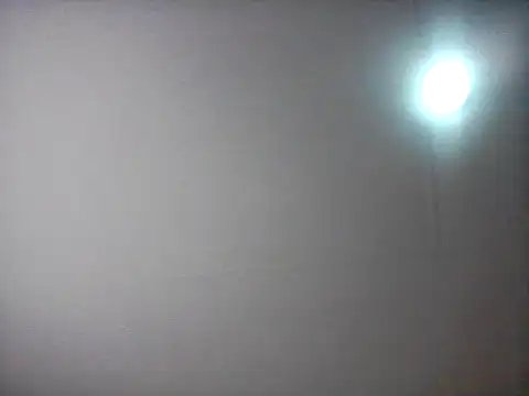 bogbosdick webcam