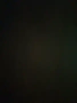 Sunny___Bunny Live Web Cam Show