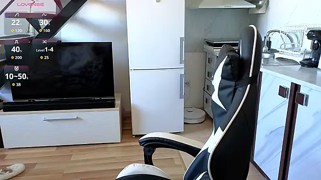 RyanStorm_ webcam
