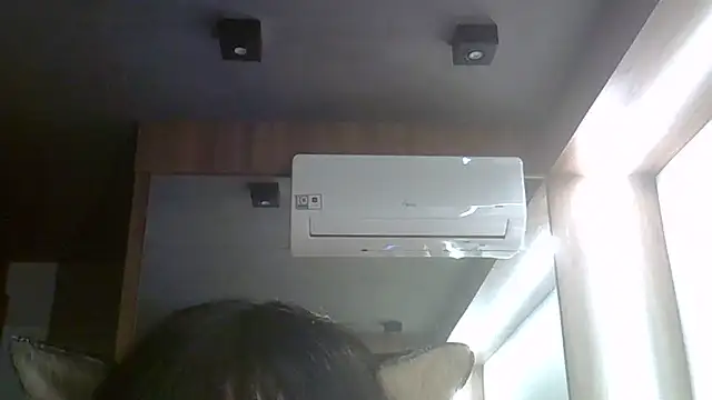 SkinnyKitten webcam