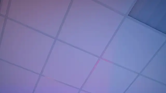 FlexyFox webcam