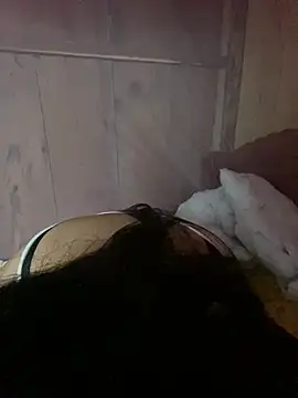 Nul_chal webcam