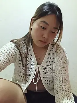 he-se-kin webcam