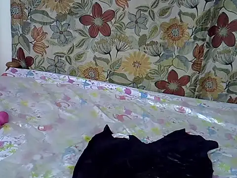 kayleen6 webcam