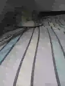Geespise webcam