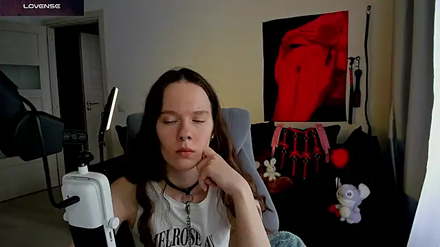 Vulgar_Tamer webcam