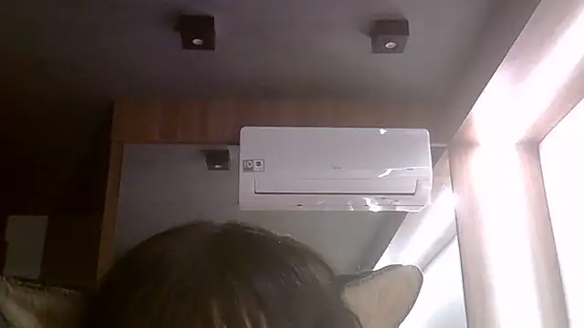 SkinnyKitten webcam