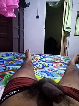 SlNotybo webcam