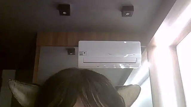 SkinnyKitten webcam