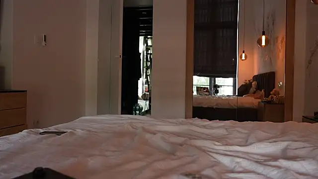 ibiddi webcam