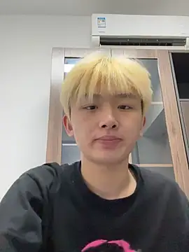 Cnmp6666 webcam