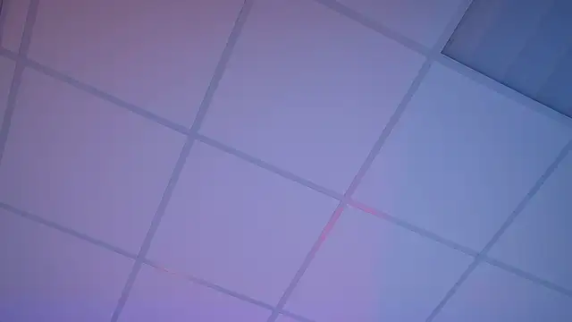 FlexyFox webcam