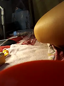 -Tara-a webcam
