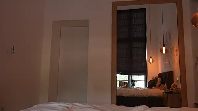 ibiddi webcam